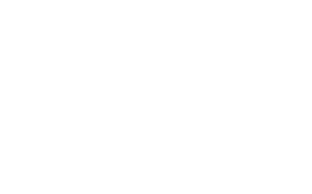 Mz logo